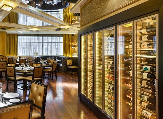 Винные витрины Expo